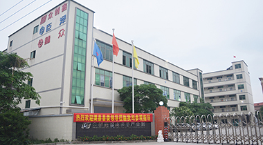 熱烈歡迎渠縣縣委領導蒞臨我司參觀指導！